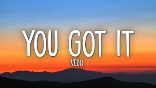 Vedo  You Got It Lyrics [upl. by Ameerak]