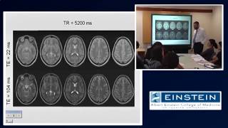 Introducing MRI Contrast Agents 13 of 56 [upl. by Stauffer671]