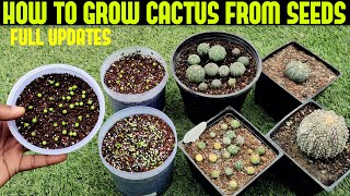 Grow Cactus From Seed100 SUCCESS RATE [upl. by Leanor]