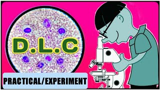 DLC Test  WBC Differential Count  Differential Leukocyte Count [upl. by Evered]