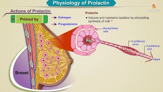 Optimizing Your Natural Fertility A Fertility Doctor Explains How to Get Pregnant Naturally [upl. by Cosme]