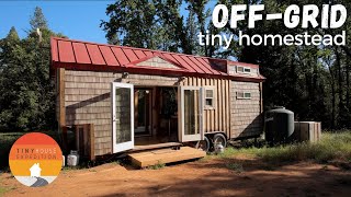 OffGrid Tiny House Homestead  Amazing DIY Timber Frame Tiny Home [upl. by Pyotr]