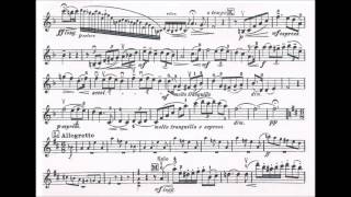 Seitz Friedrich Student Concerto No4 Op15 for violin  piano [upl. by Rebel]