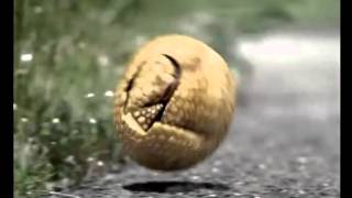 Funny Armadillos Roll Bridgestone commercial [upl. by Oinigih]