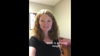 What is a Fundal Height [upl. by Cissie]