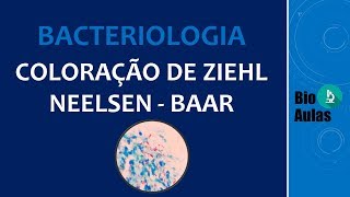 Coloração de Ziehl Neelsen Baciloscopia Microbiologia  Bio Aulas [upl. by Giliana]