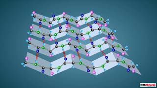 Proteins and their Structure [upl. by Sibylle]