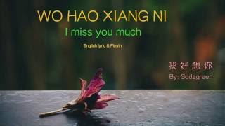 Wo Hao Xiang Ni lyric I Miss You Much  Pinyin amp English  Learn Chinese by songs [upl. by Vokay]