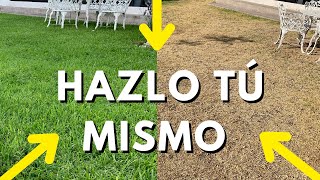 ❤️ Cómo REVIVIR un Pasto Seco  👉🏼 3 soluciones lowcost 📉 [upl. by Nagard]