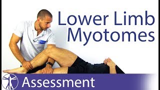 Myotomes Lower Limb  Peripheral Neurological Examination [upl. by Anerroc828]