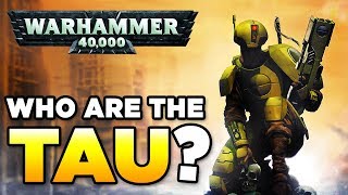 THE TAU  RACE OVERVIEW  Beginners Guide  WARHAMMER 40000 Lore  History [upl. by Aihsein]