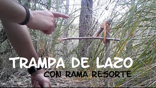 Fácil Trampa de lazo Supervivencia  Bushcraft [upl. by Ditmore]