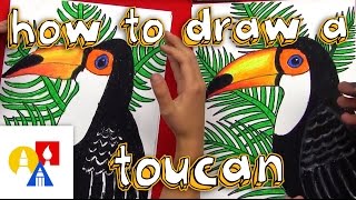 How To Draw A Realistic Toucan [upl. by Eniarrol]