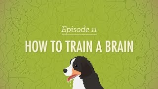 How to Train a Brain Crash Course Psychology 11 [upl. by Capps]