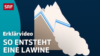 Welche Lawinen gefährlich sind – einfach erklärt  Kindervideos  SRF Kids [upl. by Entroc]