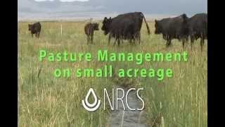 Small Pasture Management cc [upl. by Squires53]