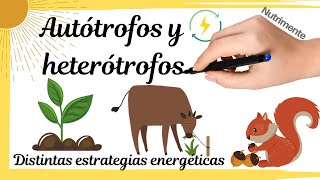 HETERÓTROFOS y AUTÓTROFOS Distintas estrategias energéticas [upl. by Lecroy]