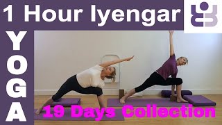 One Hour Iyengar Yoga Class  19 Days of Yoga Collection [upl. by Nona]