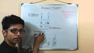 Chromosomal mutations  deletion mutation [upl. by Ahseirej]