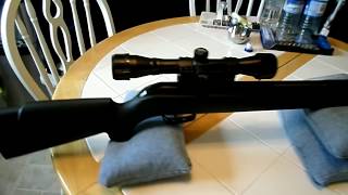 Gamo Varmint 1250fps Accuracy Review [upl. by Yrred]