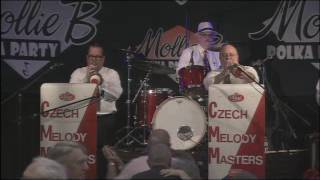 Czech Melody Masters  The Shiner Song Polka [upl. by Karolina756]