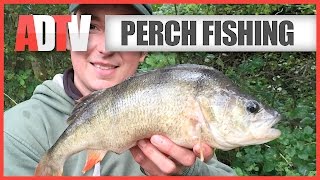 How To Catch Perch  Perch Fishing Tips [upl. by Feodora]