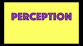 Perception  Definition  Factors  Process  Organisational Behaviour [upl. by Anohr]