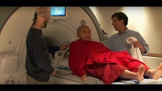 Meditations Impact on the Brain  Documentary Clip [upl. by Elenahc604]