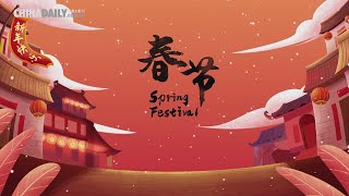 Festive China Spring Festival [upl. by Tatiania]