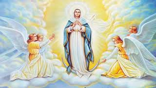 Holy Rosary  Luminous Mysteries  Thursday [upl. by Hillari]