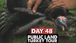 DOUBLE BEARDED GOBBLER  Turkey Tour Wrap Up [upl. by Eelatan]