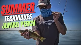 Fishing For Jumbo Perch  Summer Techniques [upl. by Oaks]