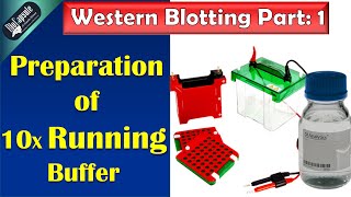 Western Blotting Part 1 10 X running buffer preparation [upl. by Daggett]