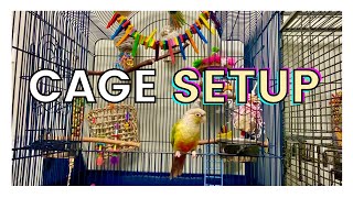 HOW TO SET UP YOUR PARROTS CAGE  Parrot Cage Setup [upl. by Erdried179]