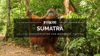 1 Sumatra  Hoogtepunten van Indonesië [upl. by Veriee]