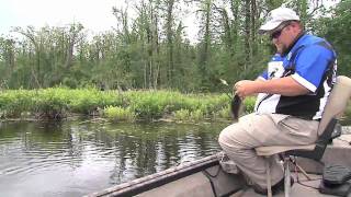 Fishing Reelfoot Lake [upl. by Olocin]