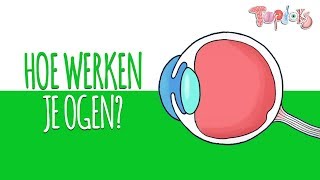 HOE WERKEN JE OGEN  TOPDOKS ANIMATIE [upl. by Ycat373]