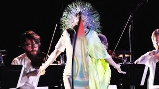 björk lionsong vulnicura strings version [upl. by Ednutey]