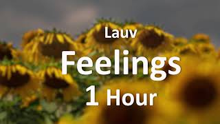 Lauv  Feelings 1 Hour Loop [upl. by Notsek]