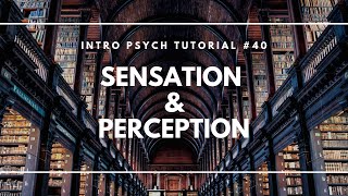 Introduction to Sensation and Perception Intro Psych Tutorial 40 [upl. by Nyledam]