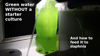 Green Water WITHOUT a Starter Culture  From Scratch  How To [upl. by Obara425]