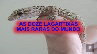 AS DOZE LAGARTIXAS MAIS RARAS DO MUNDO [upl. by Watters]