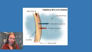 Oncotic and Hydrostatic Pressure in the Capillaries [upl. by Samira]