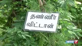 How to grow ThanneervittanAsparagus racemosus in your terrace  Poovali  News7 Tamil [upl. by Mini]