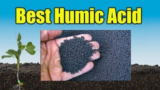 Humic Acid for Lawns [upl. by Ruddy167]