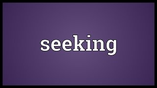 Seeking Meaning [upl. by Petunia]