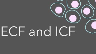 3 Intro to fluid compartments ECF and ICF [upl. by Conlee306]