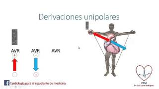 Derivaciones unipolares [upl. by Hilar]