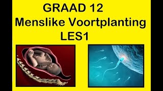 Lewenswetenskappe GR12 Menslike Voortplanting Les1 [upl. by Shurwood182]