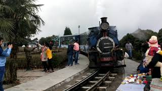 Darjeeling Toy train [upl. by Aramen]